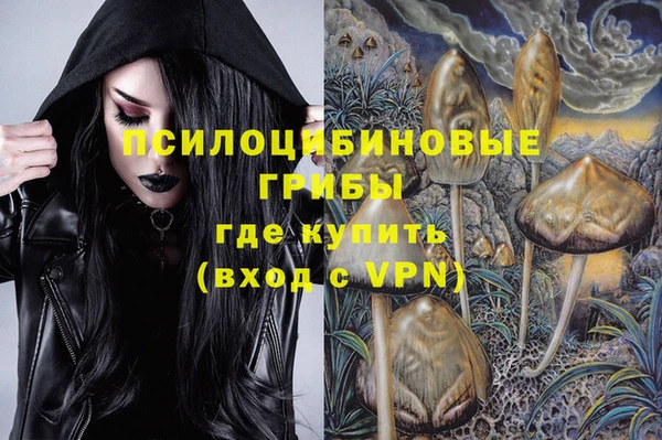 соль ск Абдулино