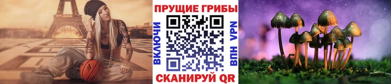 где найти наркотики Каменск-Шахтинский Галлюциногенные грибы GOLDEN TEACHER